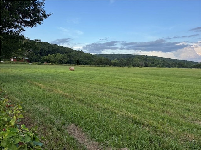 17381 23rd Hwy, Huntsville, AR 72740 - photo 33