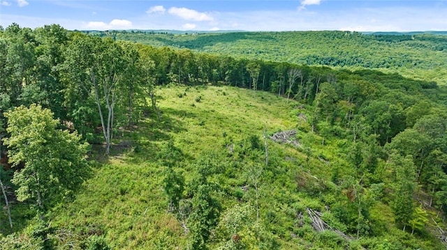 274 Madison 3060, Huntsville, AR 72740 - photo 34