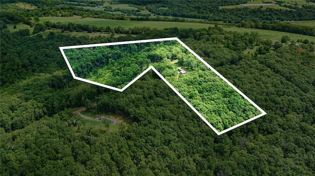 274 Madison 3060, Huntsville, AR 72740 - photo 41
