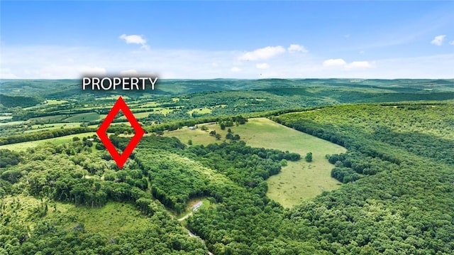 274 Madison 3060, Huntsville, AR 72740 - photo 43