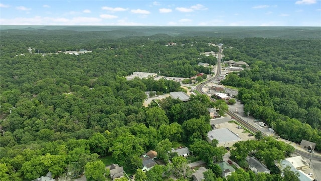 110 Wall St, Eureka Springs, AR 72632 - photo 37