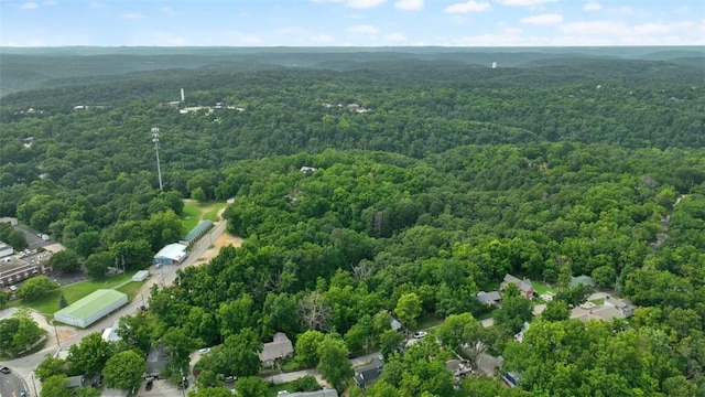 110 Wall St, Eureka Springs, AR 72632 - photo 38