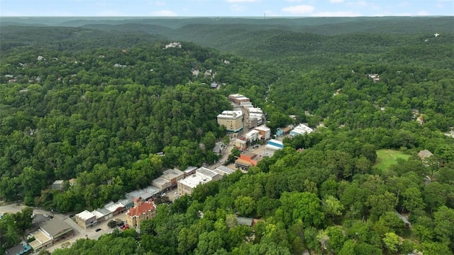 110 Wall St, Eureka Springs, AR 72632 - photo 39