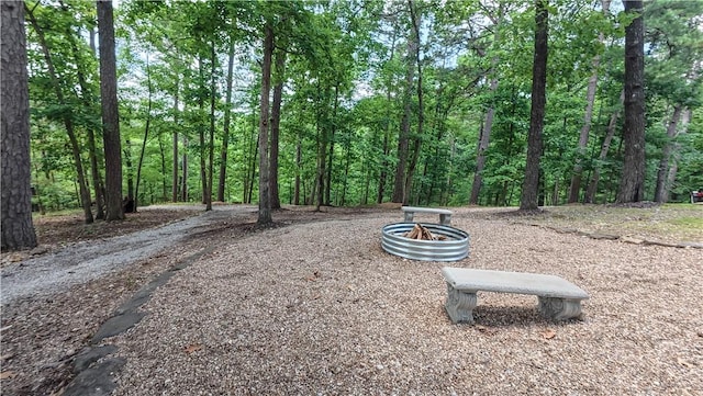 10 Shifnal Ln, Bella Vista, AR 72714 - photo 27