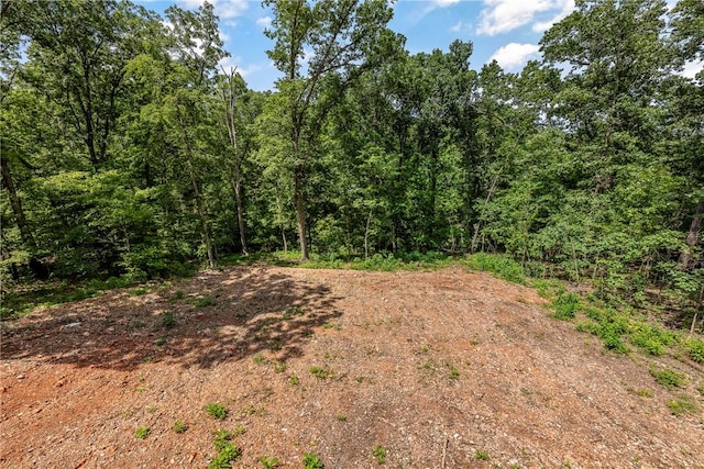 29 Halford Ln, Bella Vista, AR 72715 - photo 25