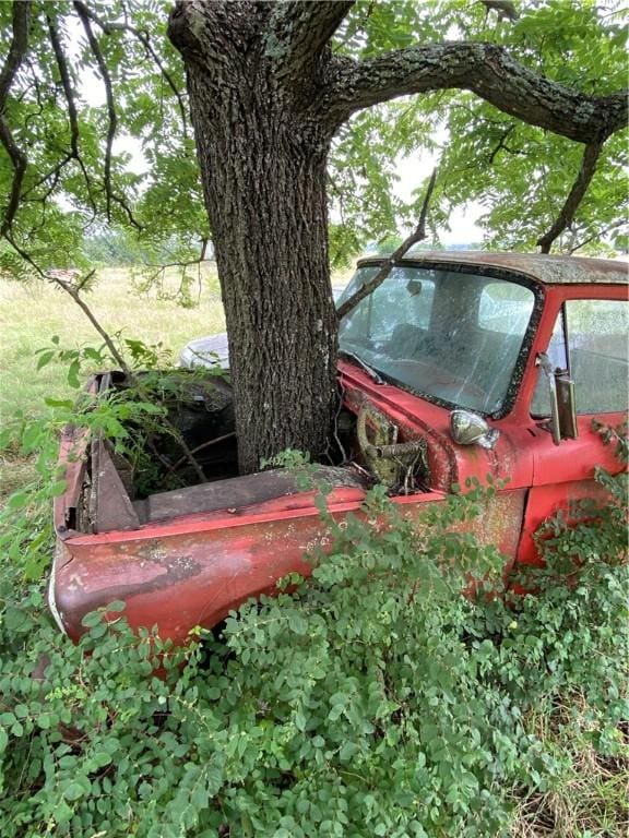 Old Cincinatti, Lincoln, AR 72744 - photo 4