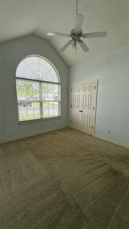 195 Carrington Ave, Springdale, AR 72764 - photo 7