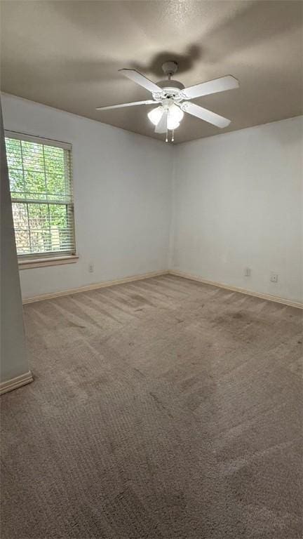 195 Carrington Ave, Springdale, AR 72764 - photo 25