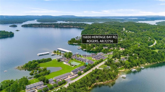 16830 Heritage Bay Rd, Rogers, AR 72756 - photo 2