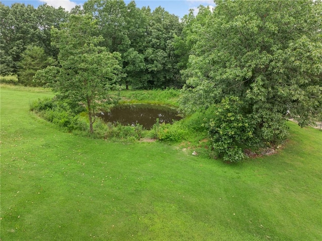 4376 Harmon Rd, Harrison, AR 72601 - photo 32
