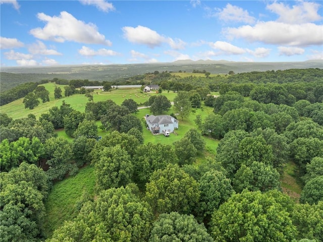 4376 Harmon Rd, Harrison, AR 72601 - photo 40