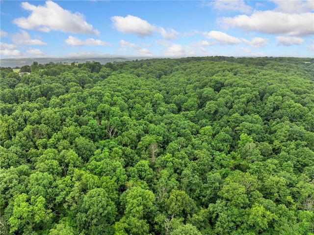 4376 Harmon Rd, Harrison, AR 72601 - photo 41