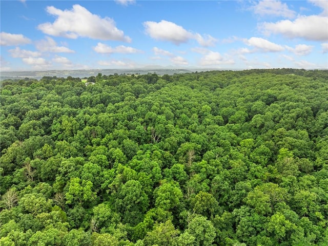 4376 Harmon Rd, Harrison, AR 72601 - photo 42