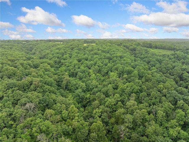 4376 Harmon Rd, Harrison, AR 72601 - photo 43