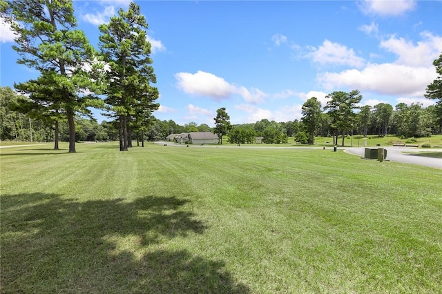 14.79ACRES Rocky Ridge Rd, Heber Springs, AR 72581 - photo 4