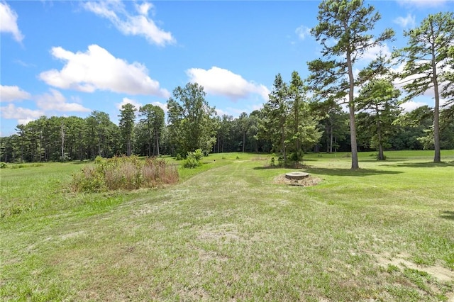 14.79ACRES Rocky Ridge Rd, Heber Springs, AR 72581 - photo 10