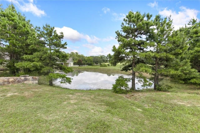 14.79ACRES Rocky Ridge Rd, Heber Springs, AR 72581 - photo 11