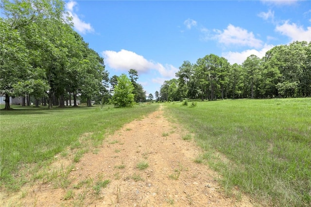 14.79ACRES Rocky Ridge Rd, Heber Springs, AR 72581 - photo 13