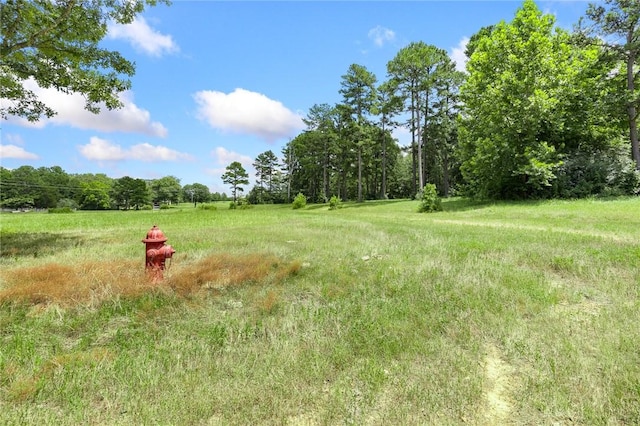 14.79ACRES Rocky Ridge Rd, Heber Springs, AR 72581 - photo 14
