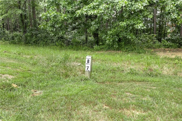 14.79ACRES Rocky Ridge Rd, Heber Springs, AR 72581 - photo 18