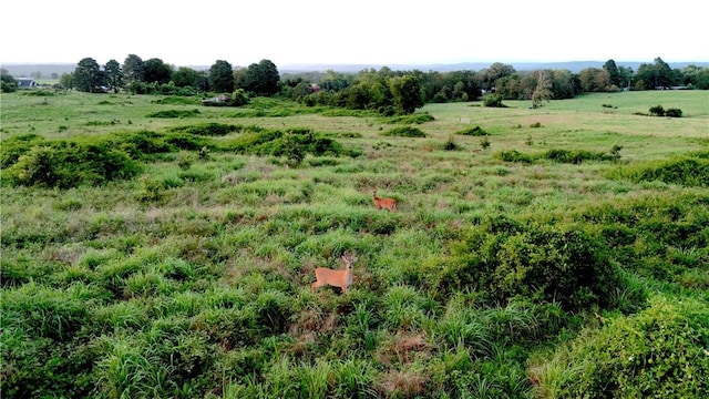 4903 Quail Ridge Rd, Ozark, AR 72949 - photo 18