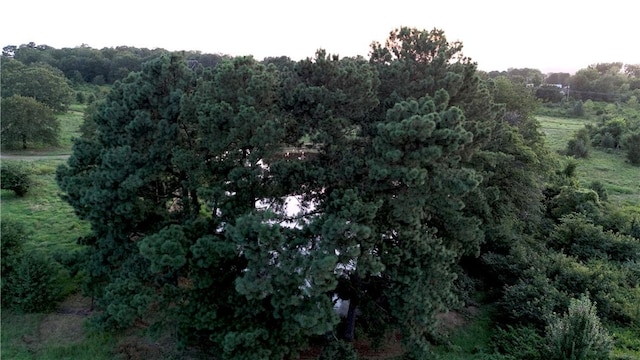 4903 Quail Ridge Rd, Ozark, AR 72949 - photo 21