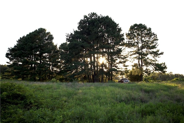 4903 Quail Ridge Rd, Ozark, AR 72949 - photo 28