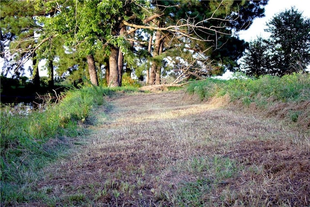 4903 Quail Ridge Rd, Ozark, AR 72949 - photo 29