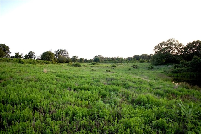 4903 Quail Ridge Rd, Ozark, AR 72949 - photo 34