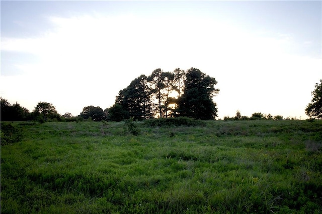 4903 Quail Ridge Rd, Ozark, AR 72949 - photo 37