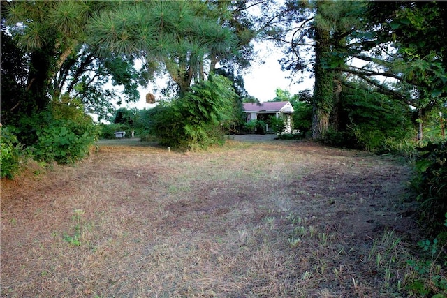 4903 Quail Ridge Rd, Ozark, AR 72949 - photo 41