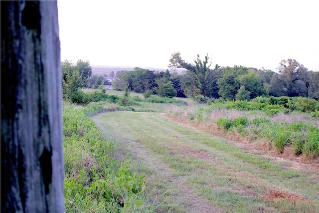 4903 Quail Ridge Rd, Ozark, AR 72949 - photo 60
