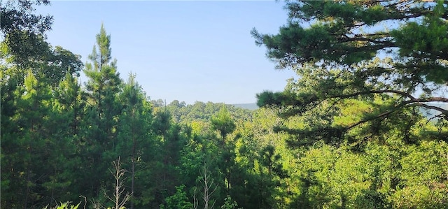 5744 W Sr 164, Dover, AR 72837 - photo 4