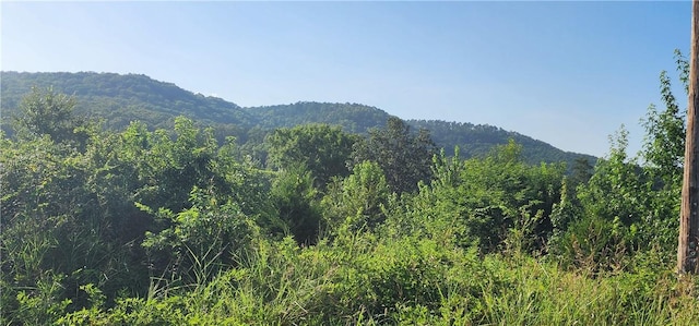 5744 W Sr 164, Dover, AR 72837 - photo 5
