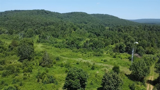 5744 W Sr 164, Dover, AR 72837 - photo 24