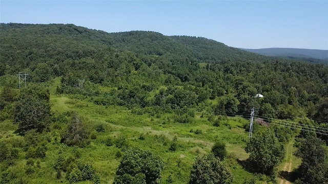 5744 W Sr 164, Dover, AR 72837 - photo 30