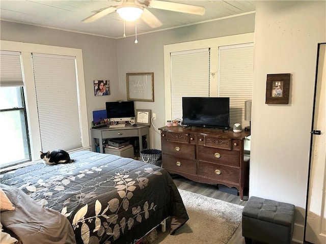 418 E L St, Russellville, AR 72801 - photo 10