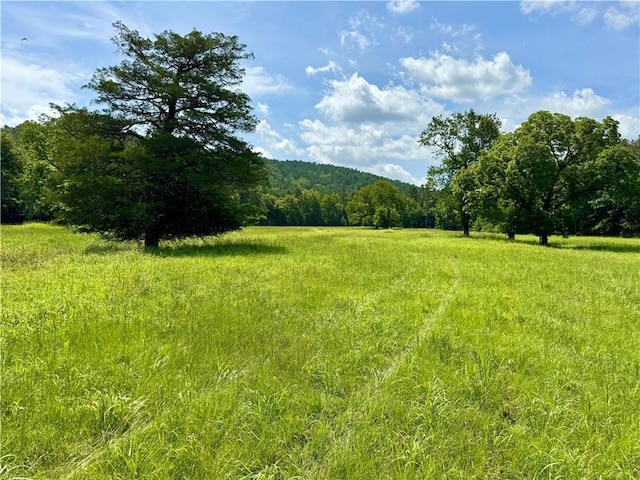 13069 US Ln, Parks, AR 72950 - photo 2