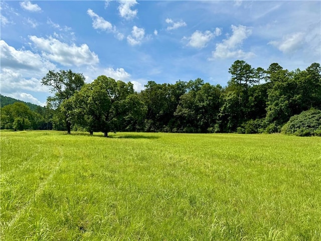 13069 US Ln, Parks, AR 72950 - photo 42
