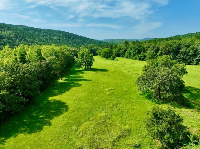 13069 US Ln, Parks, AR 72950 - photo 51