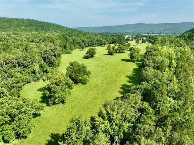 13069 US Ln, Parks, AR 72950 - photo 53