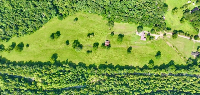 13069 US Ln, Parks, AR 72950 - photo 54