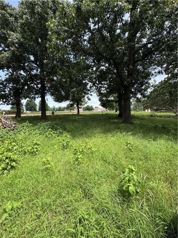12144 Little Elm Rd, Farmington, AR 72730 - photo 4