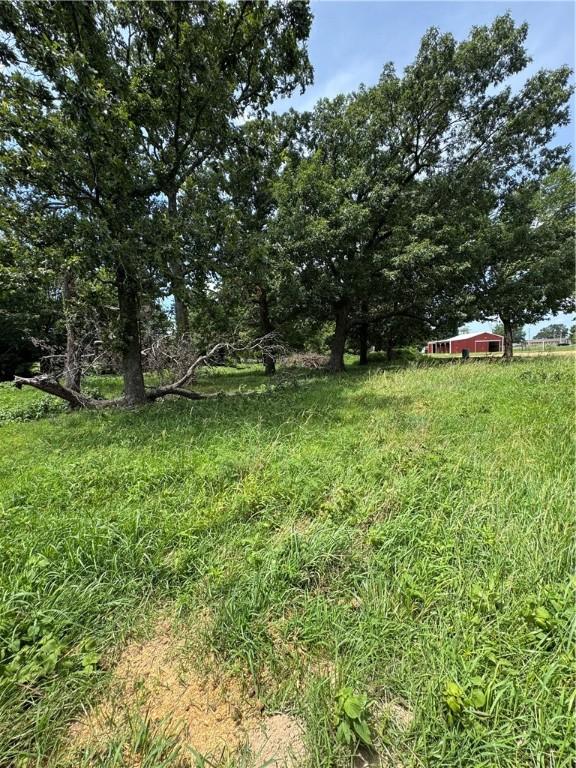 12144 Little Elm Rd, Farmington, AR 72730 - photo 9