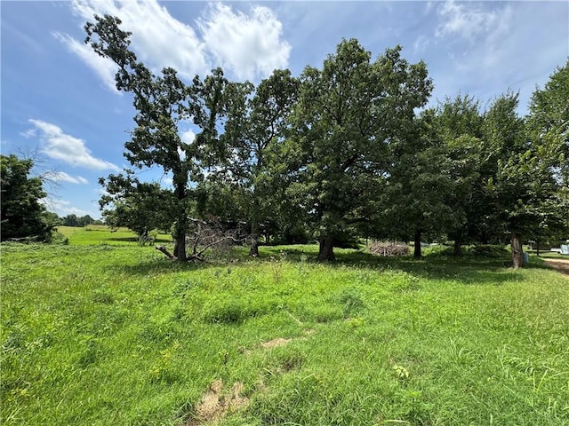 12144 Little Elm Rd, Farmington, AR 72730 - photo 10