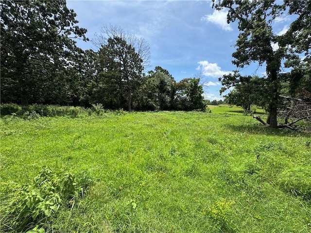 12144 Little Elm Rd, Farmington, AR 72730 - photo 11