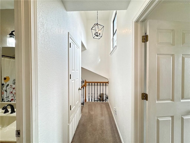 3459 Brian St, Springdale, AR 72764 - photo 24