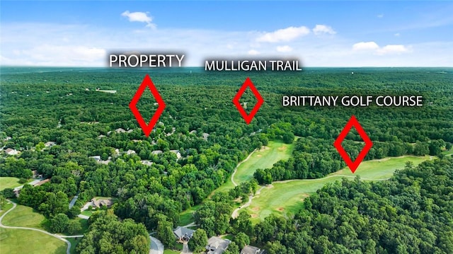 10 Morganshire Dr, Bella Vista, AR 72714 - photo 38