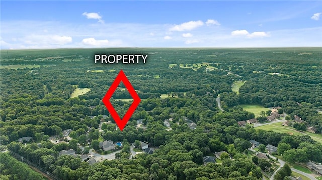 10 Morganshire Dr, Bella Vista, AR 72714 - photo 40
