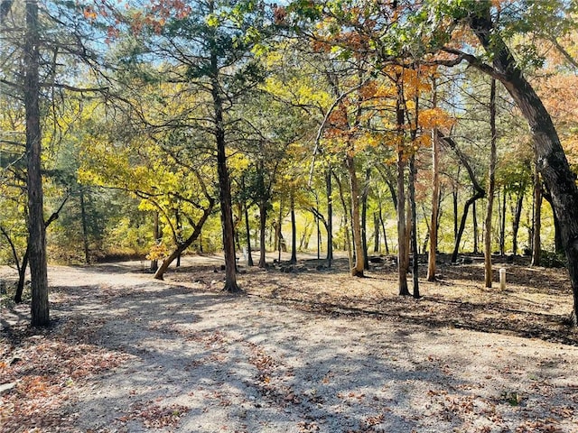 2759 County Road 411, Berryville, AR 72616 - photo 43
